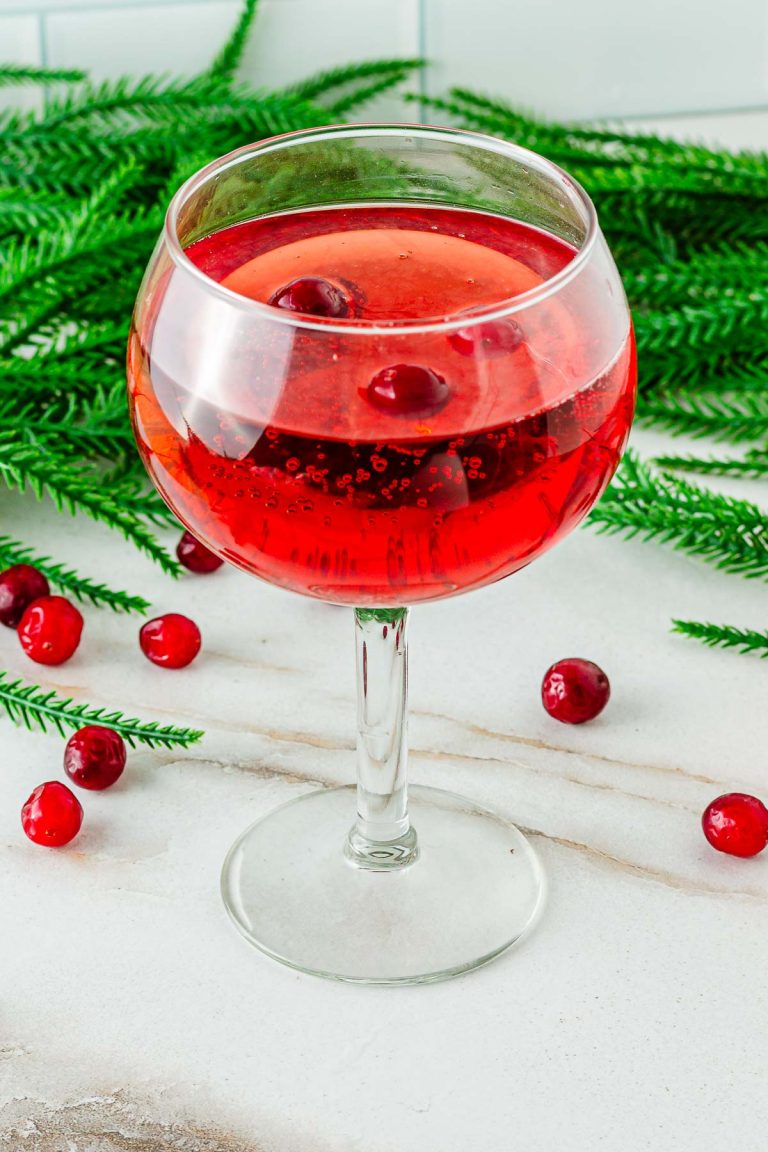 Festive Cranberry Holiday Mocktail