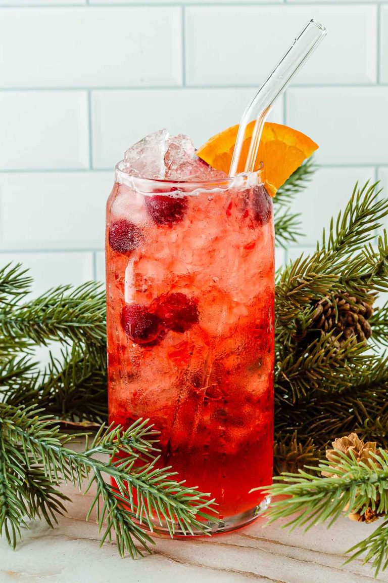 Mocktail with cranberry juice garnished with orange slice, fresh cranberries and a glass straw