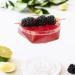 Blackberry Mocktail in coupe glass surrounded by fruit